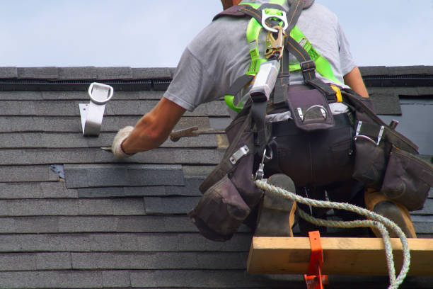 Best Flat Roof Repair Services  in Capron, IL