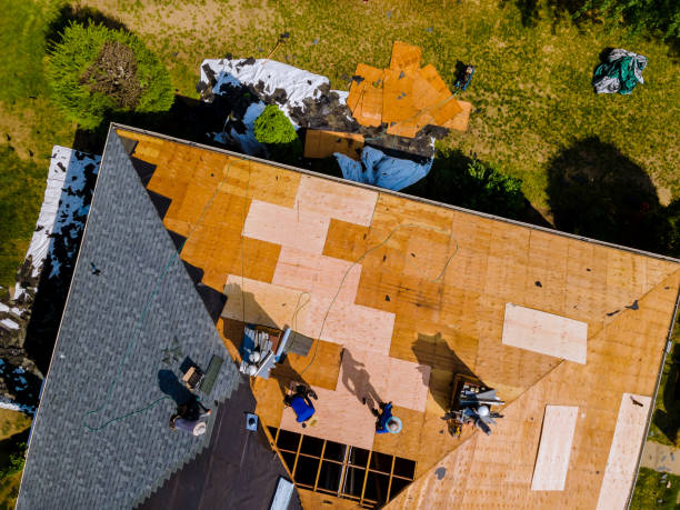 Best Roof Installation Near Me  in Capron, IL