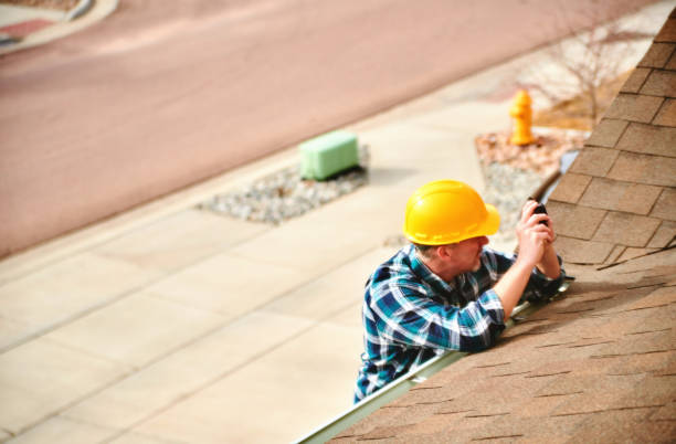 Best Local Roofing Companies  in Capron, IL