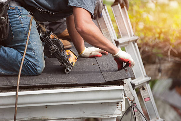 Best Roof Gutter Cleaning  in Capron, IL